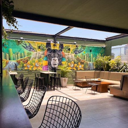 Black Llama Hostel Miraflores Λίμα Εξωτερικό φωτογραφία