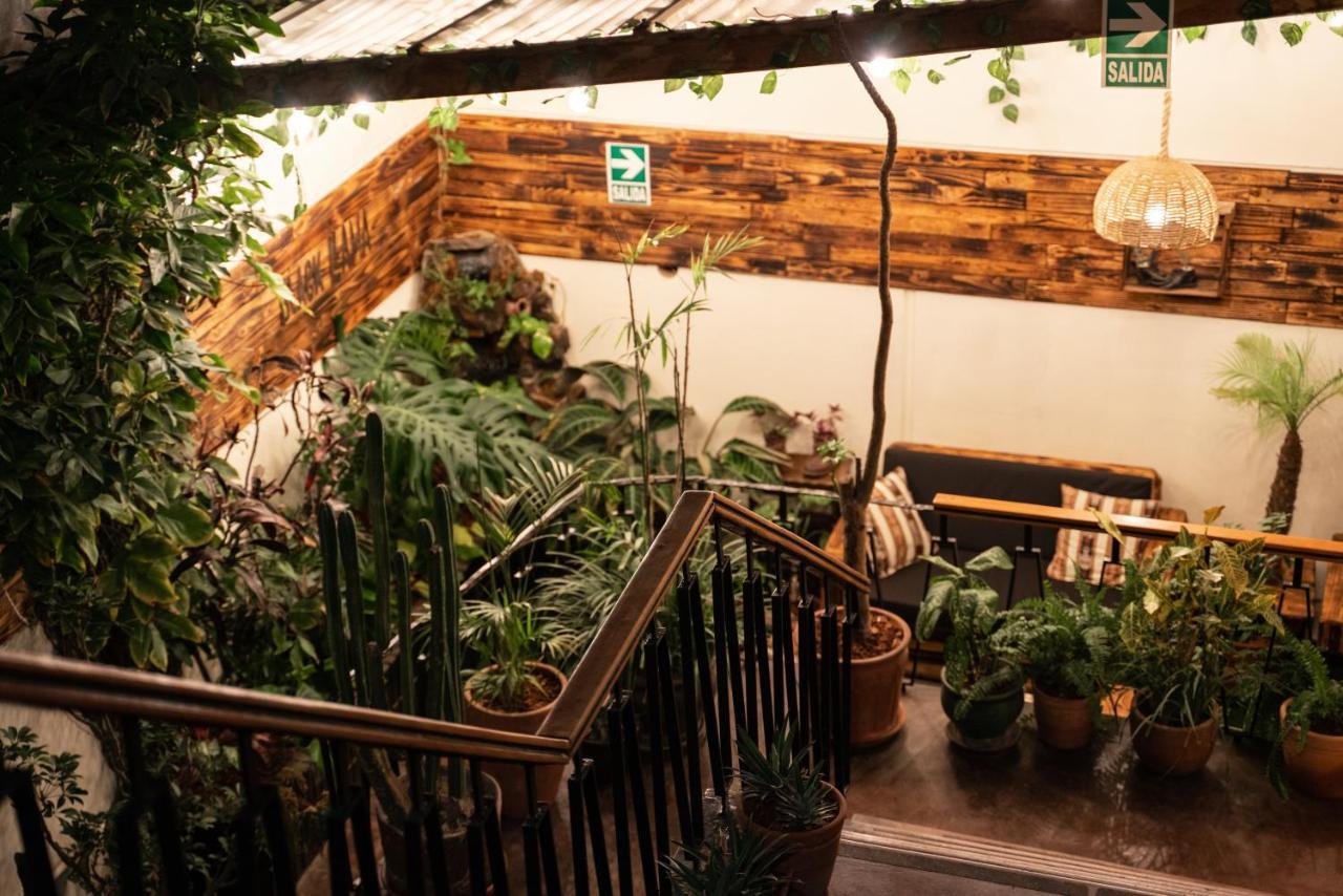 Black Llama Hostel Miraflores Λίμα Εξωτερικό φωτογραφία