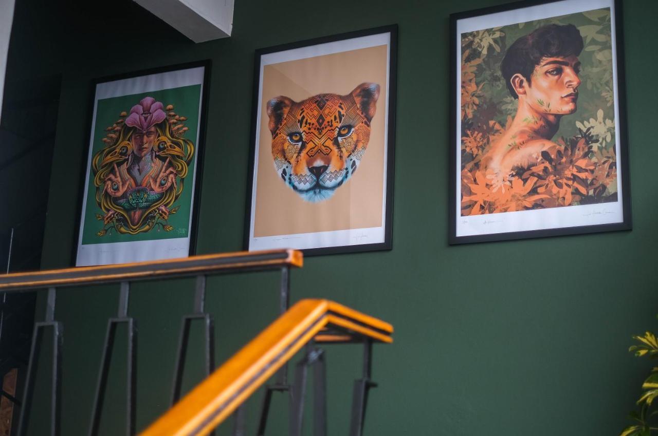 Black Llama Hostel Miraflores Λίμα Εξωτερικό φωτογραφία